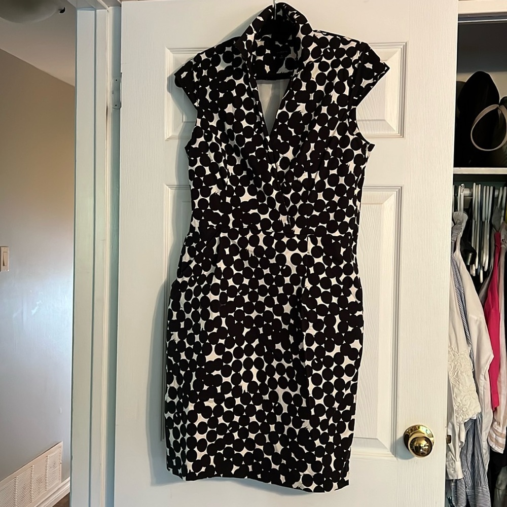 Anne Taylor dress